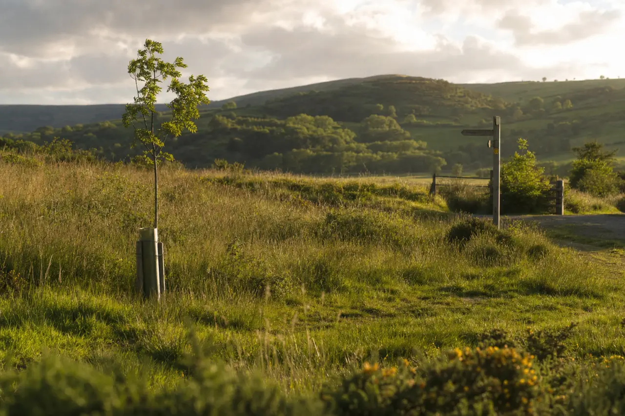 One Planet Development in Wales: The Lawful Off-Grid Route