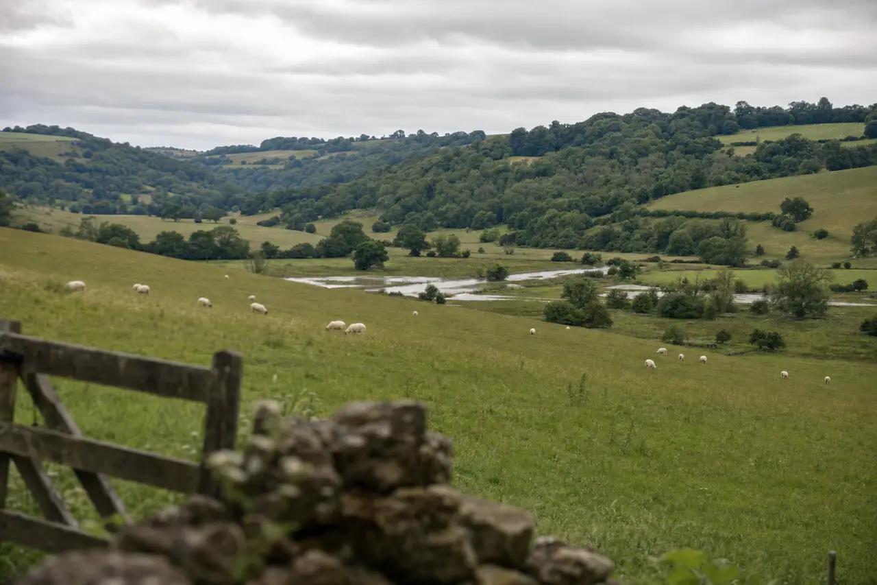 How to Check Flood Risk on a Plot of Land: A Complete UK Guide