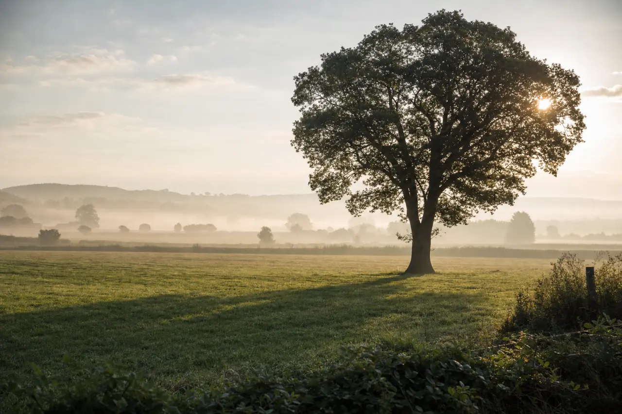 Land Value Calculator UK: How to Calculate What Your Land Is Worth in 2026