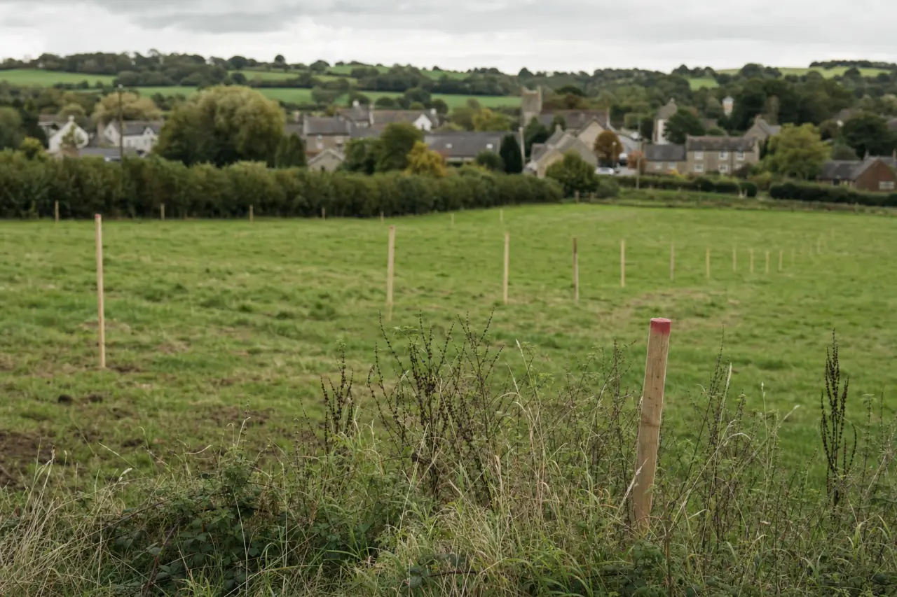 Land value tax: what Burnham's property tax plans mean for land owners and buyers