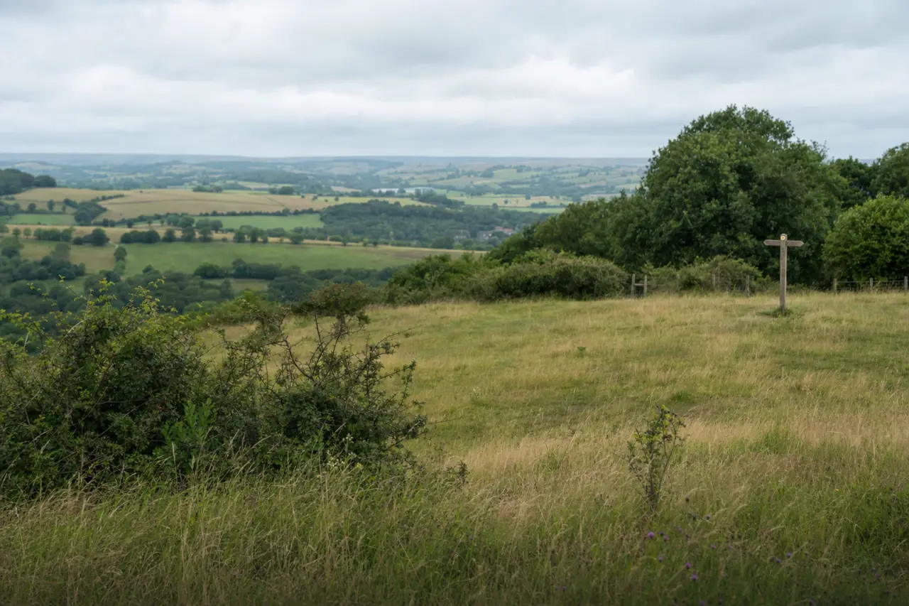 The Land Auction Legal Pack: What to Check (and What's Missing)