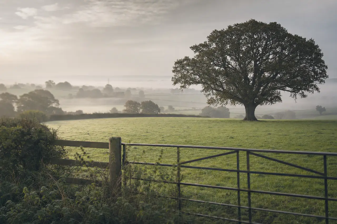 How Land Auctions Work in the UK: Process, Fees and Timescales