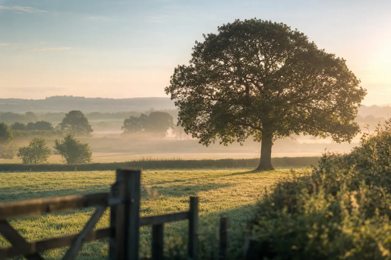 Is That Field in the Green Belt? Checking Planning Constraints on Land