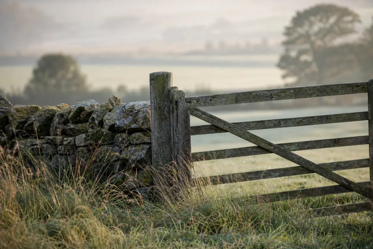 Field boundary in Aberdeenshire