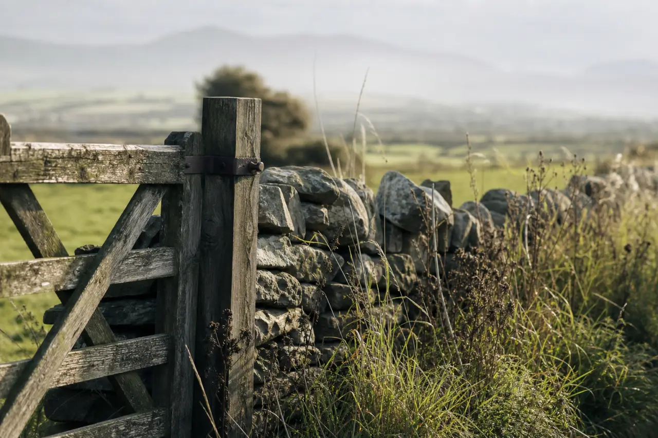 Field boundary in Anglesey