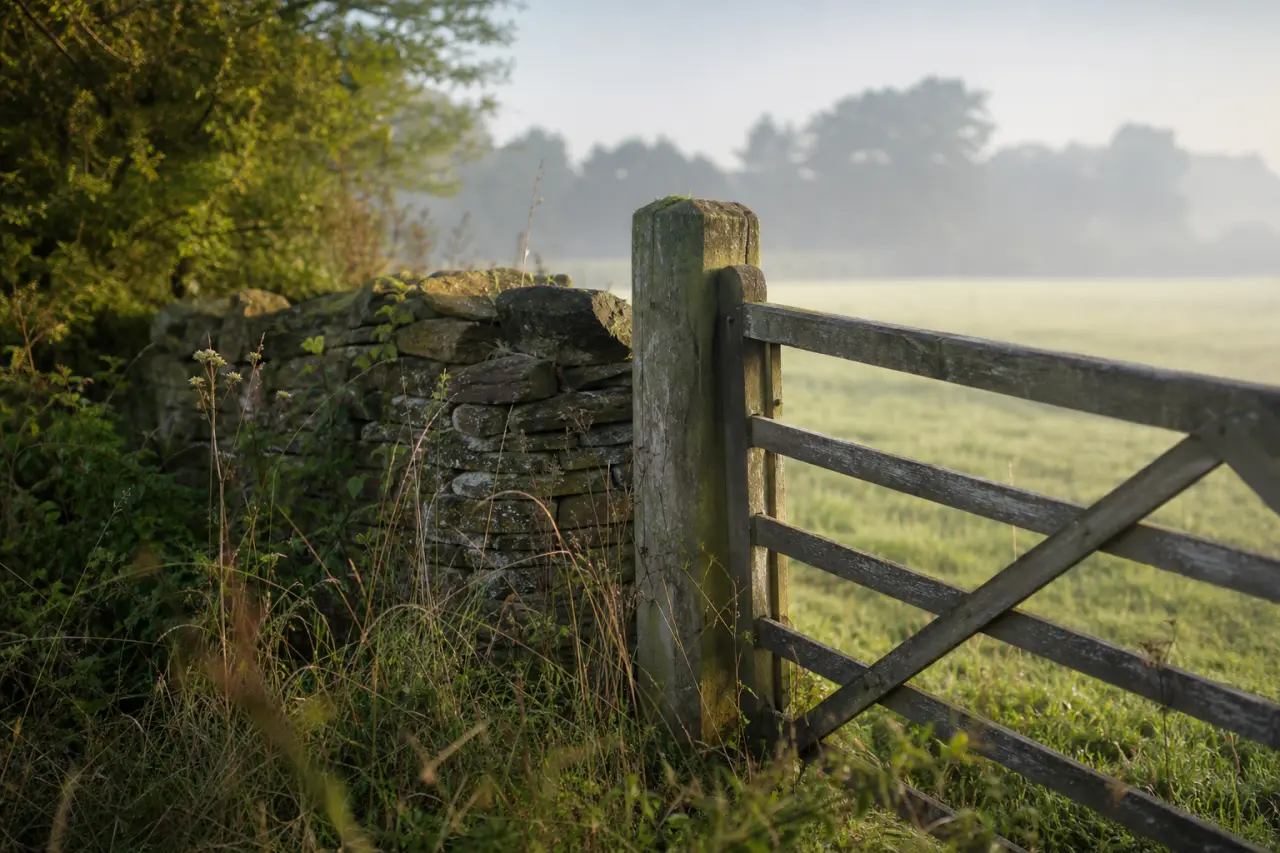 Field boundary in Berkshire