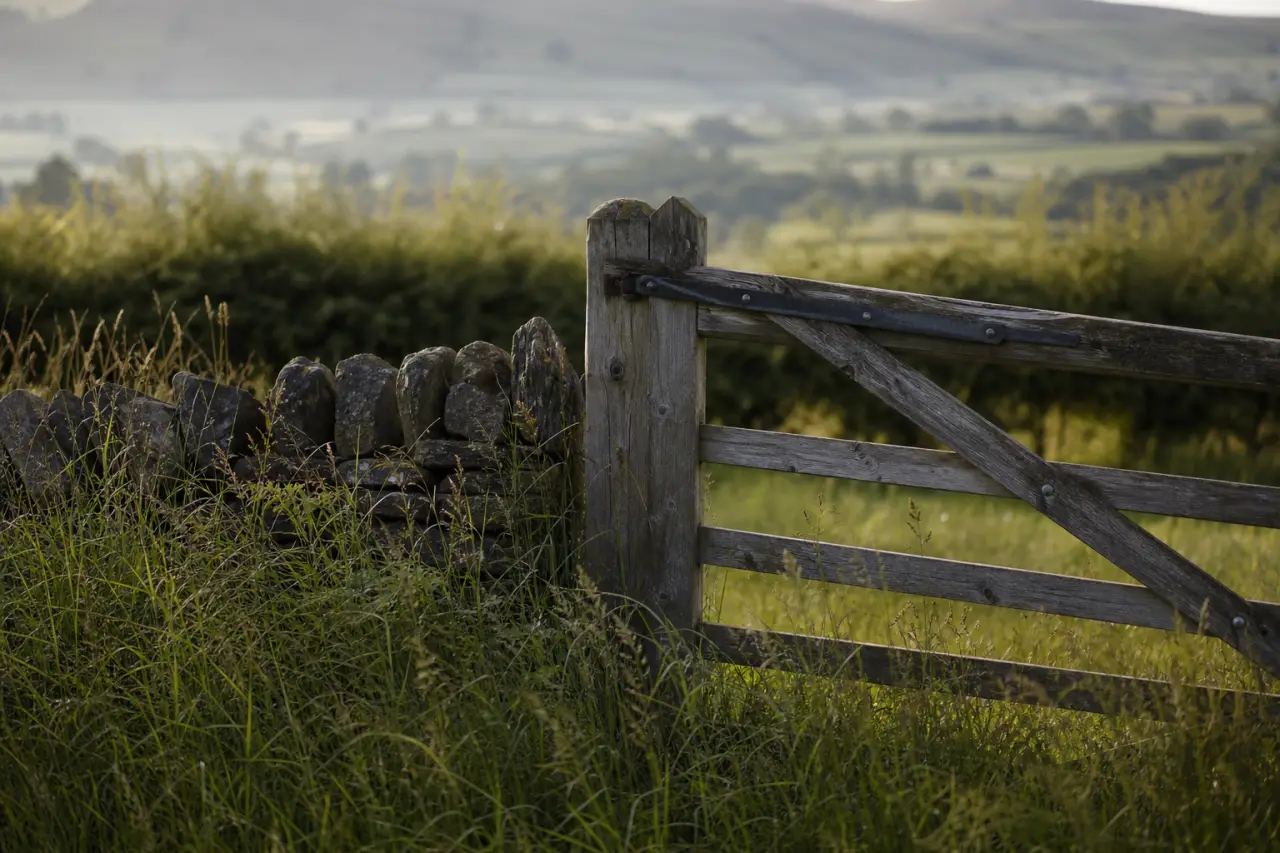 Field boundary in Blaenau Gwent