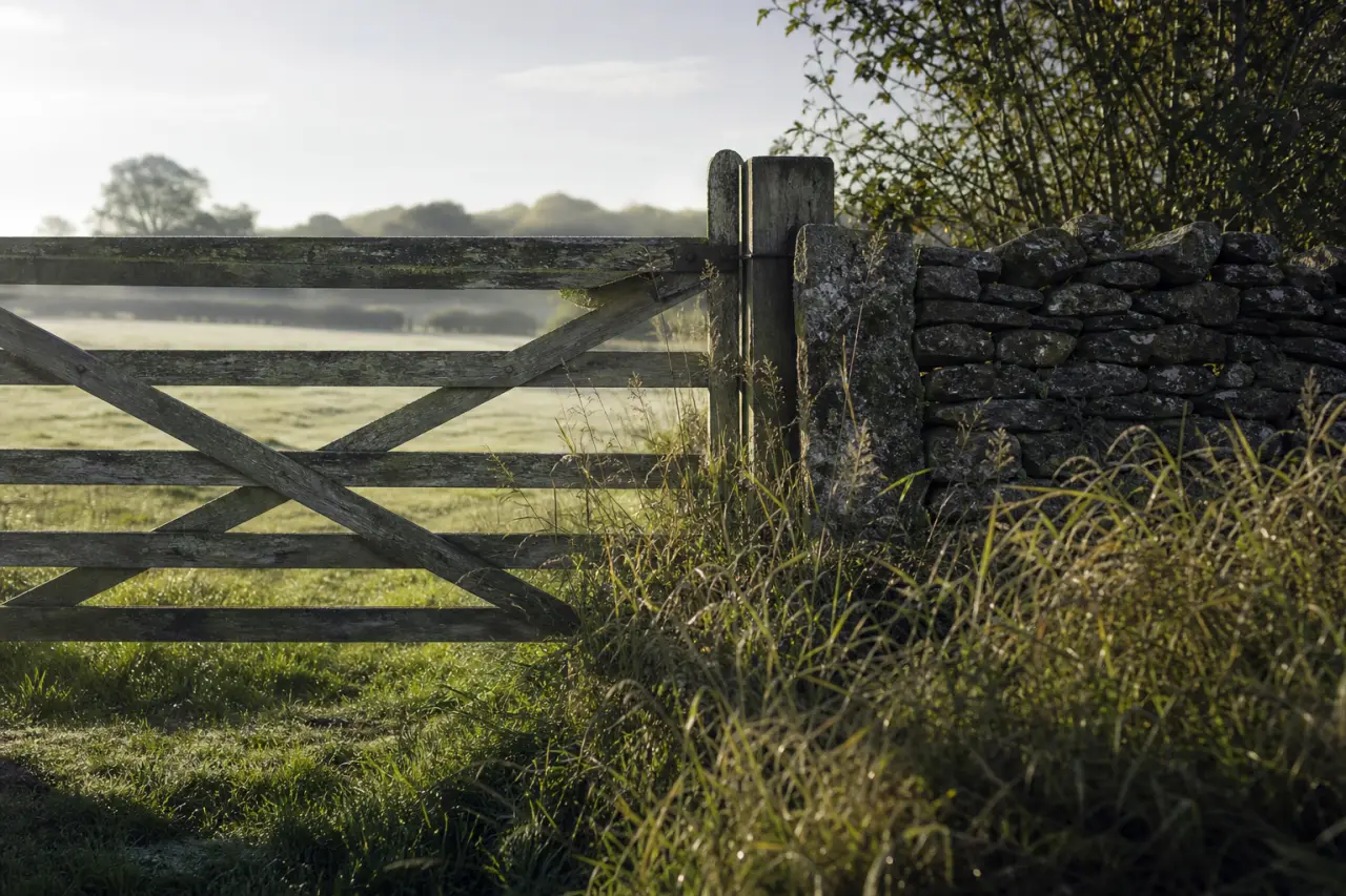 Field boundary in Cambridgeshire
