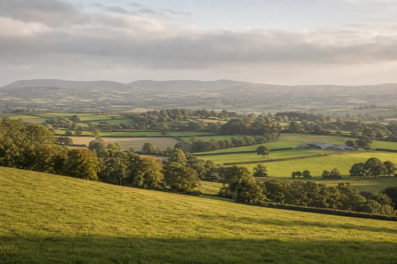 Cardiff countryside