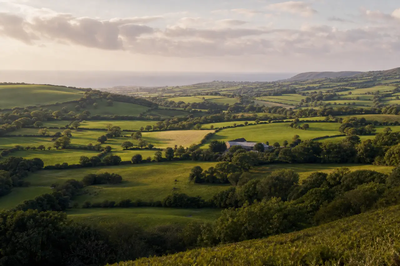 Ceredigion countryside