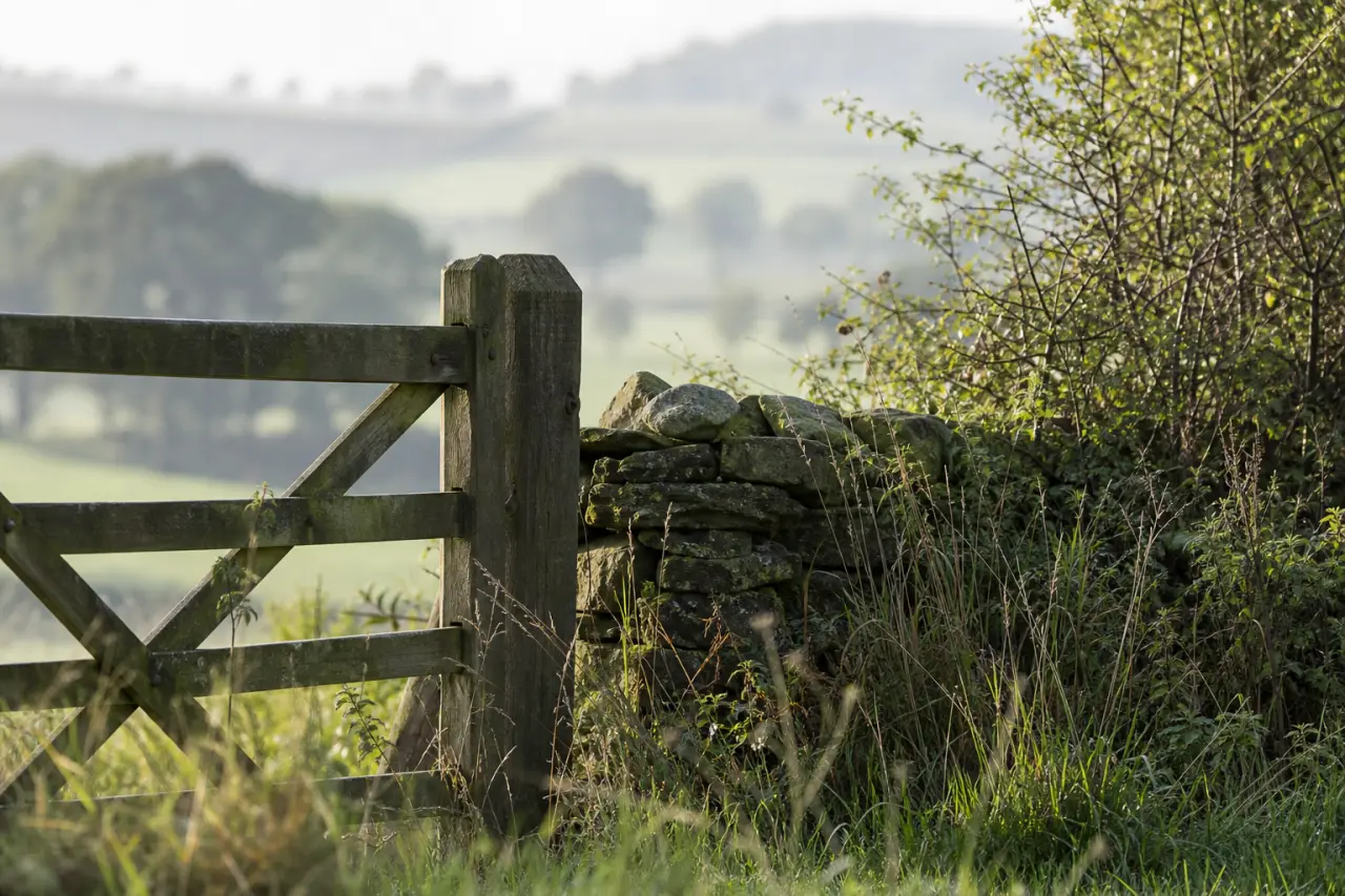 Field boundary in Cheshire