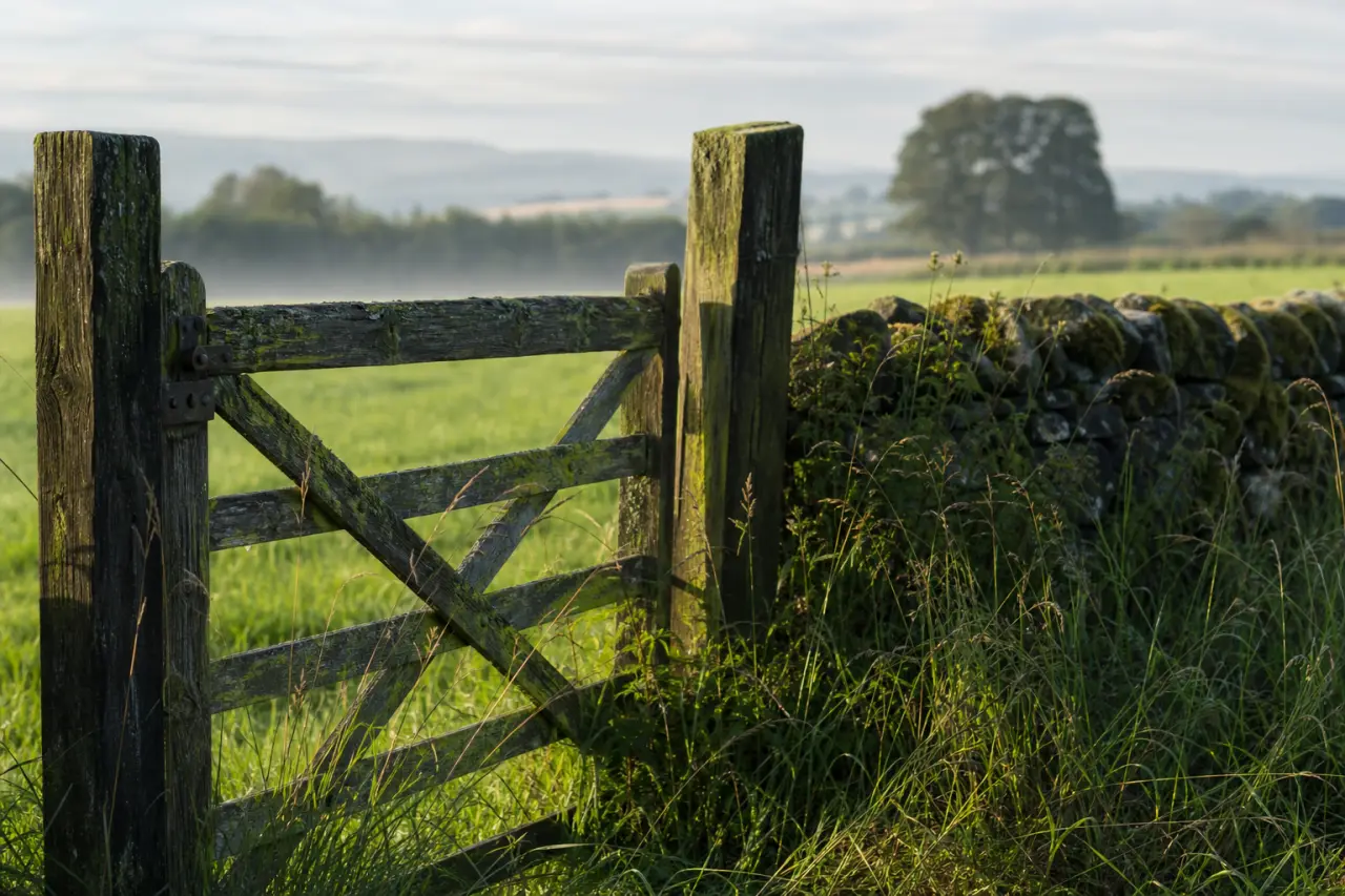 Field boundary in Clackmannanshire