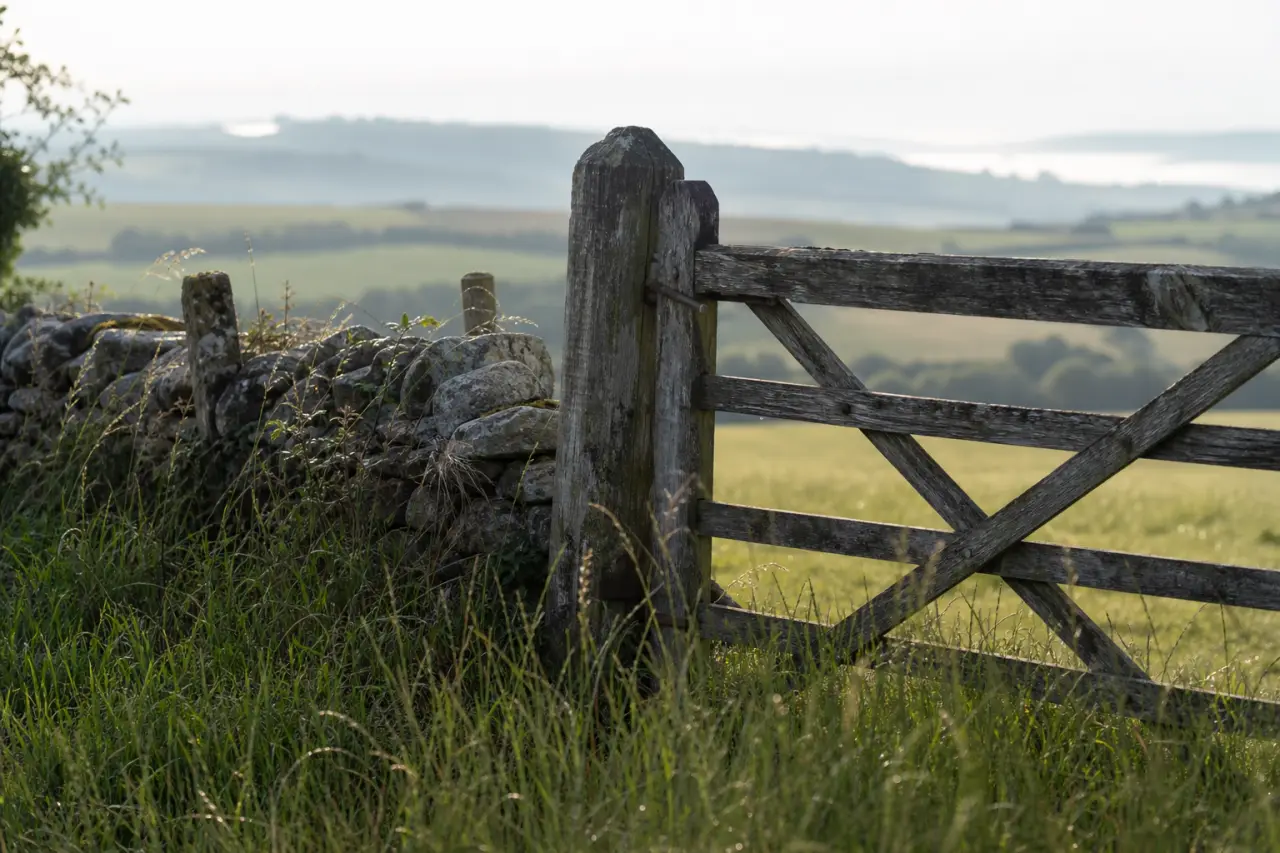 Field boundary in Cornwall