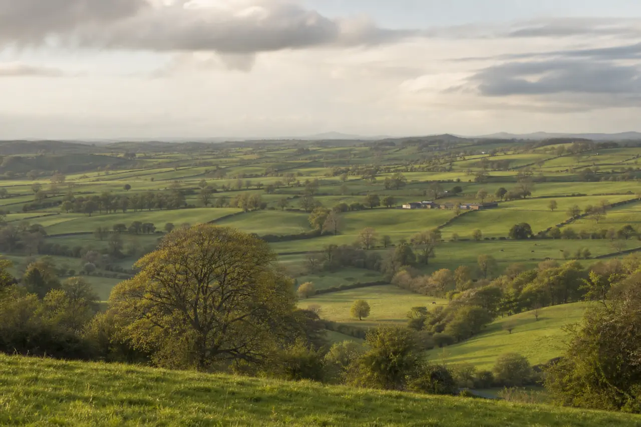 County Armagh countryside