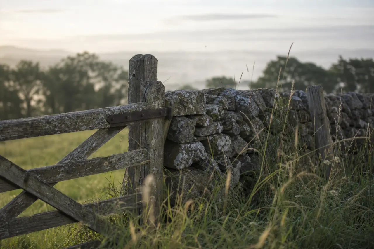 Field boundary in County Down