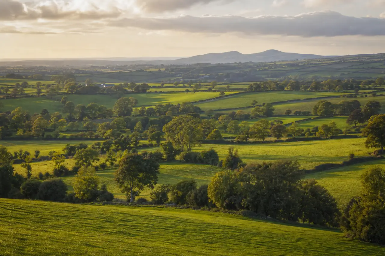 County Down countryside