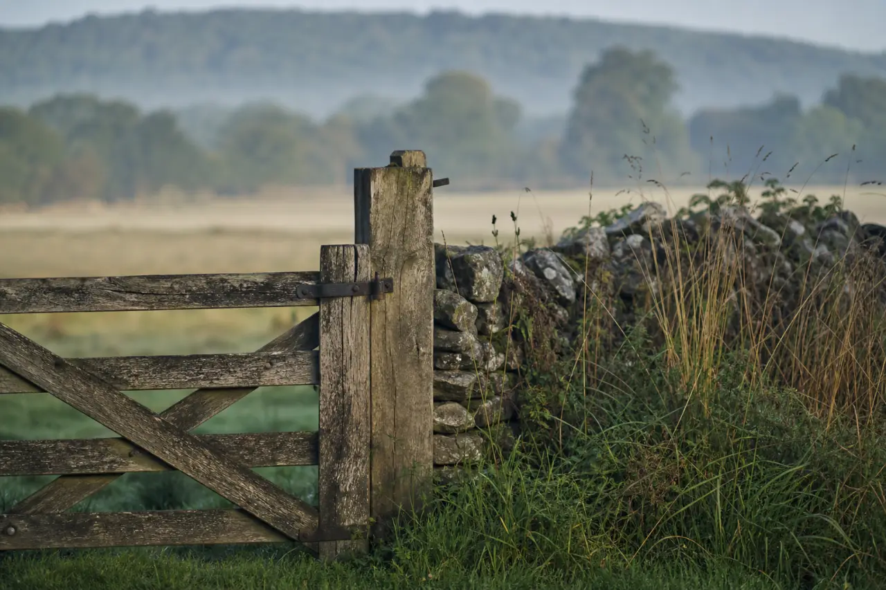 Field boundary in County Fermanagh
