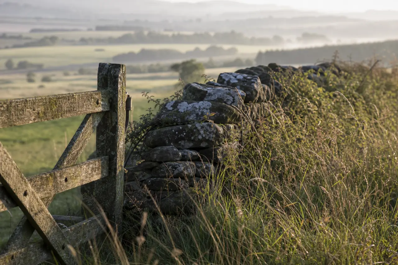 Field boundary in County Londonderry