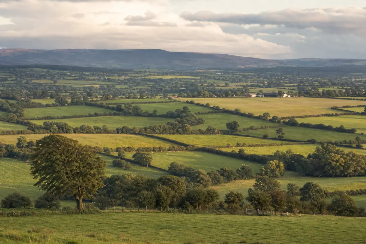 County Londonderry countryside