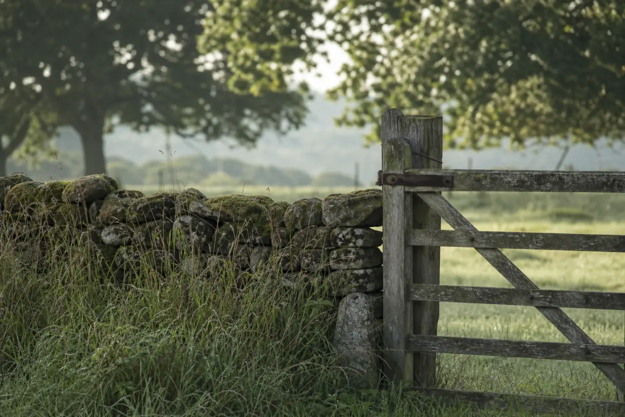 Field boundary in Dorset