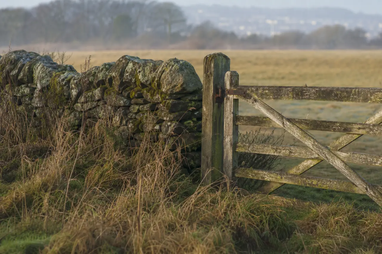 Field boundary in Dundee City