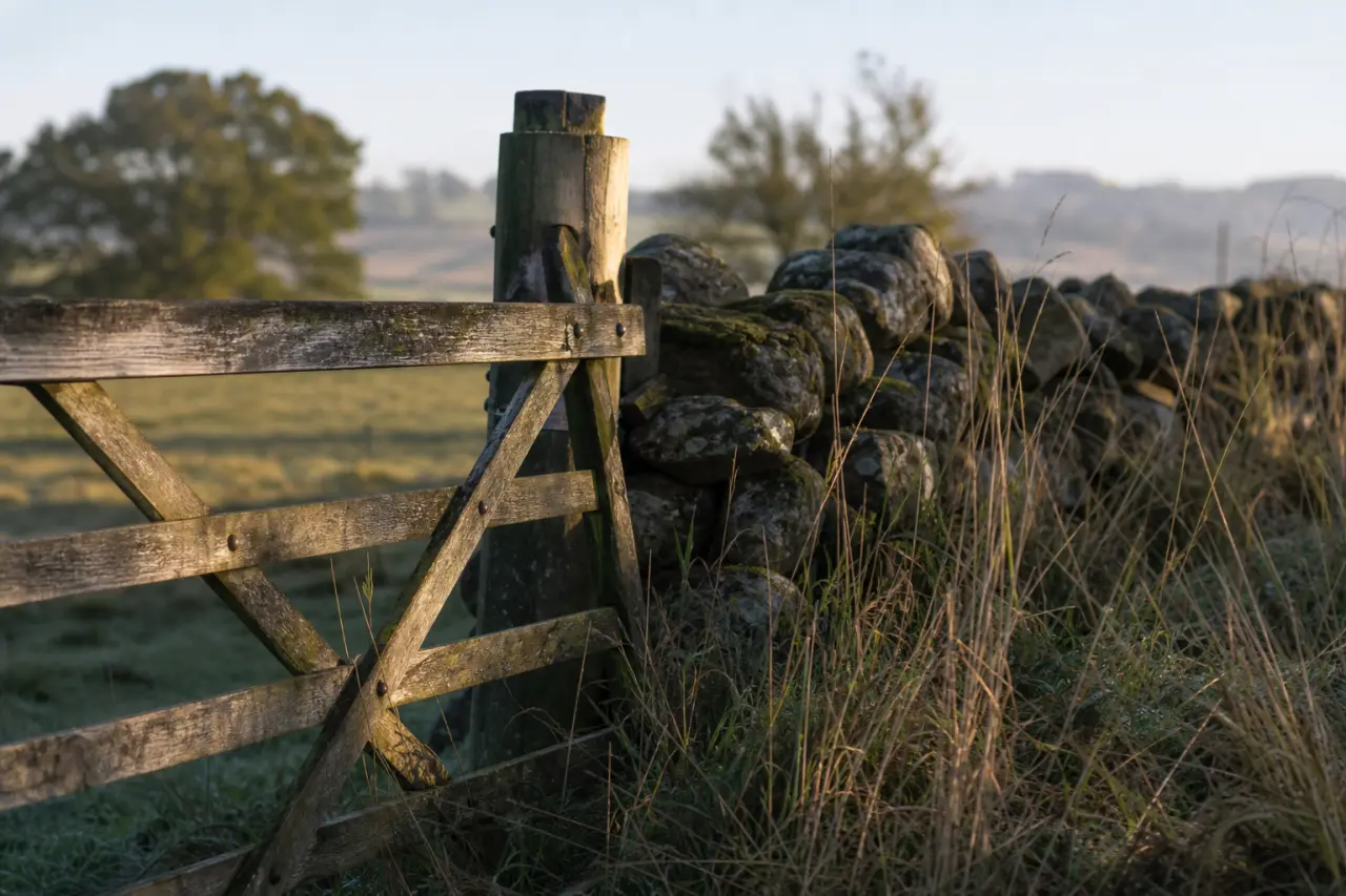 Field boundary in East Dunbartonshire