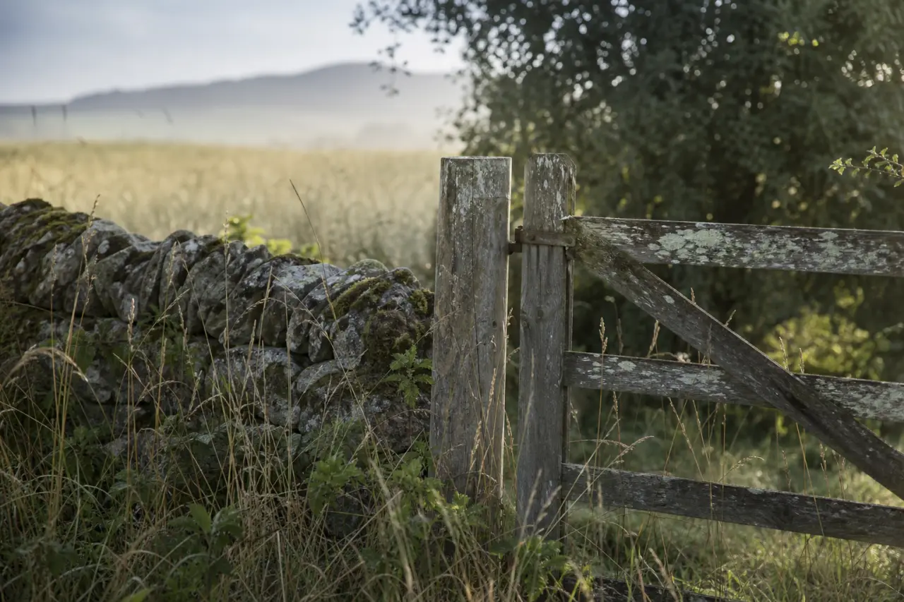 Field boundary in East Lothian