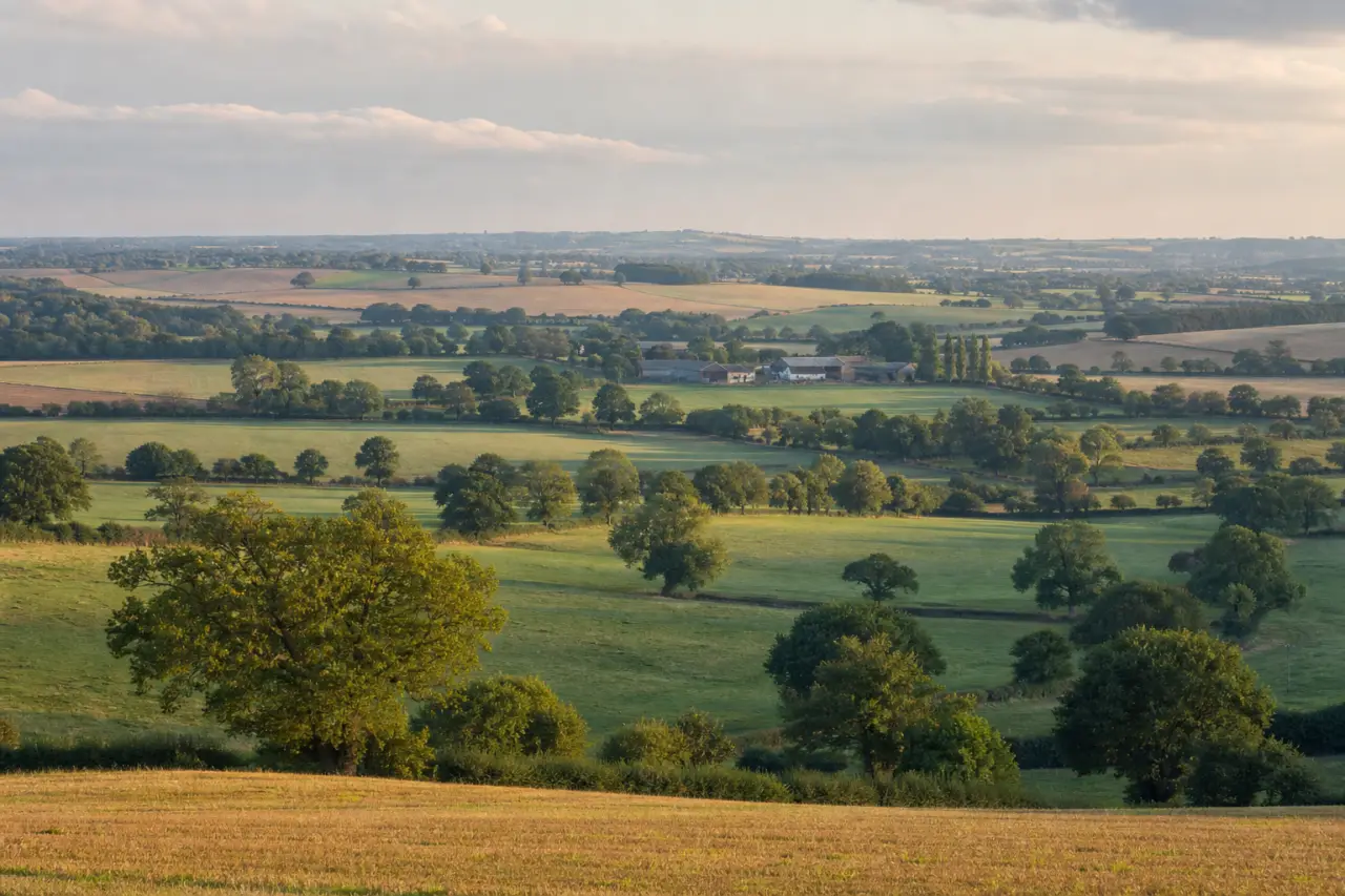 Essex countryside