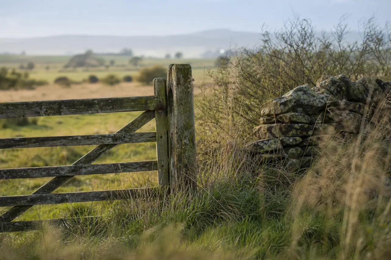 Field boundary in Falkirk