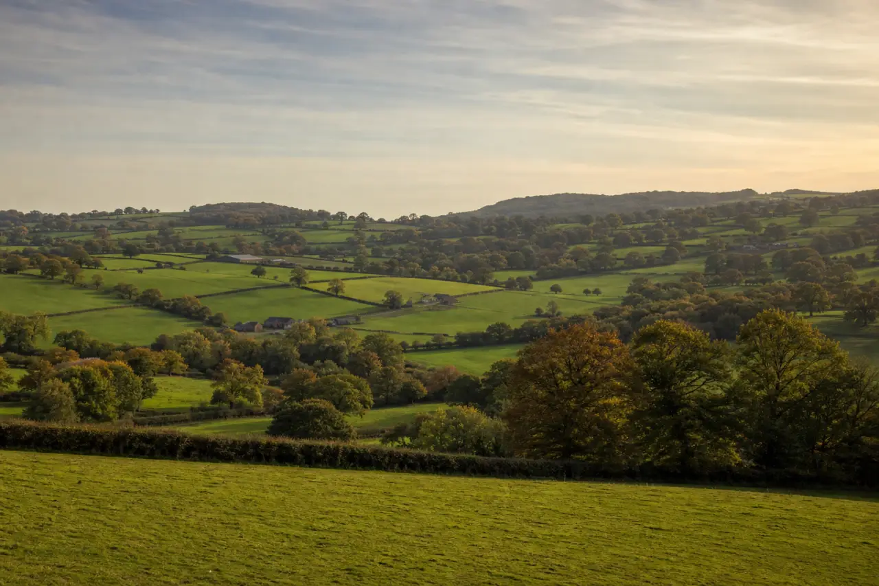 Flintshire countryside