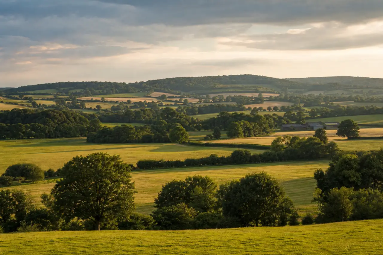 Hampshire countryside