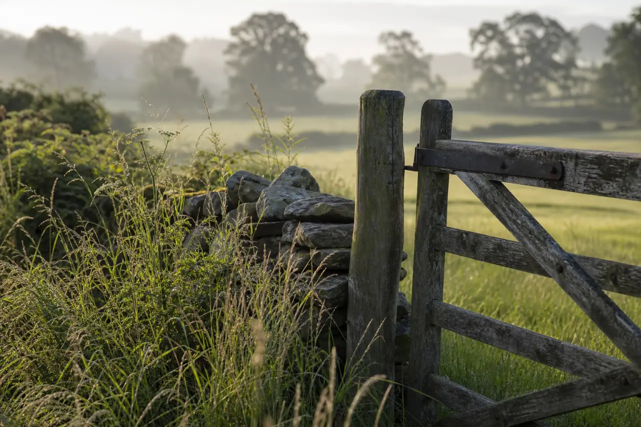 Field boundary in Herefordshire