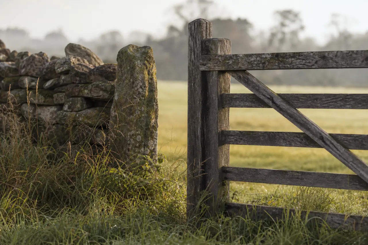 Field boundary in Hertfordshire