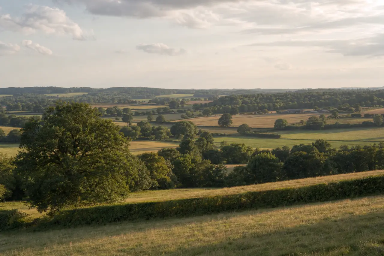 Hertfordshire countryside