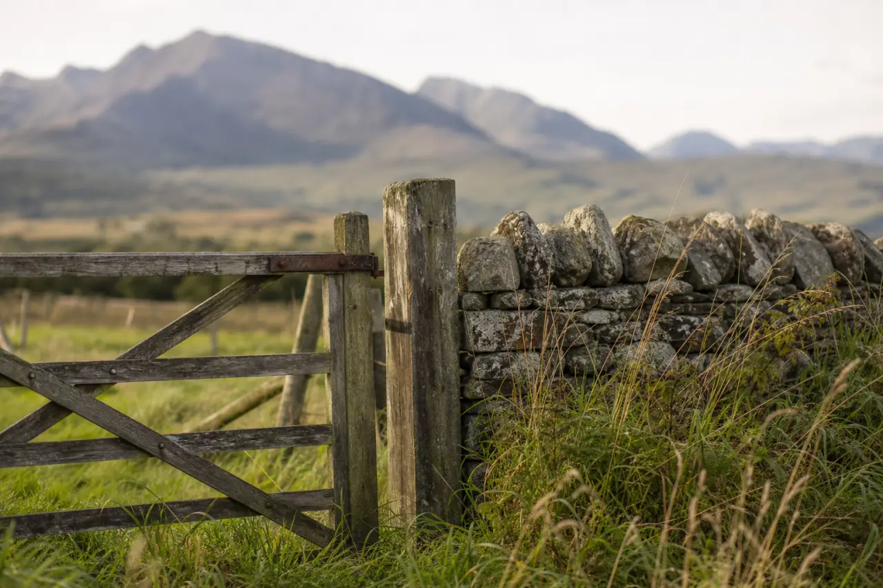 Field boundary in Highland