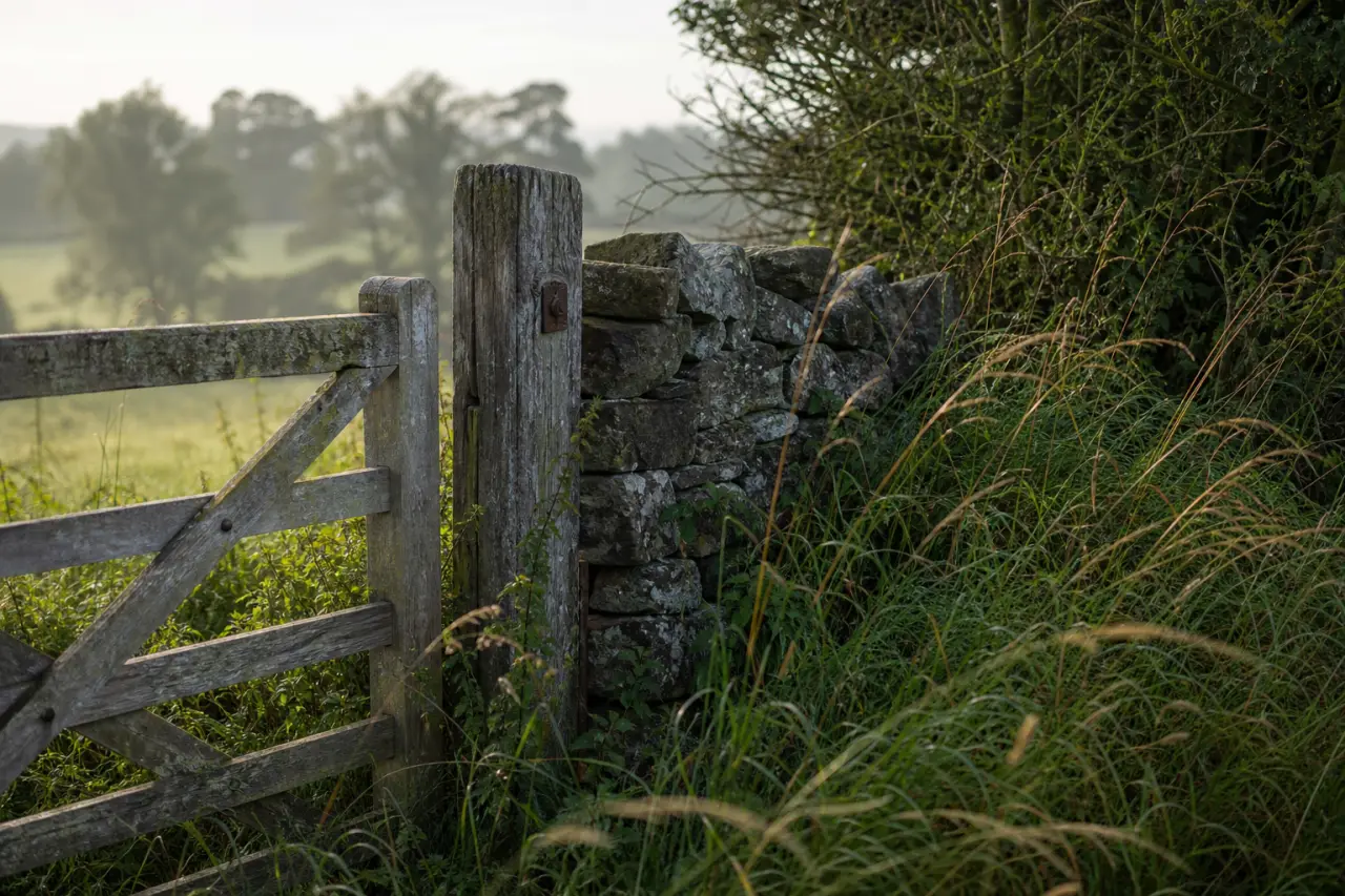 Field boundary in Merseyside