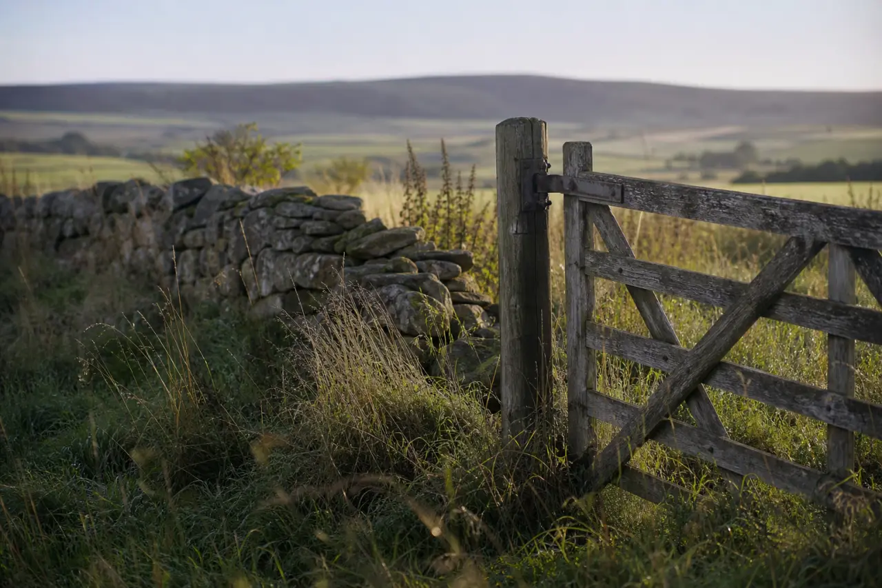 Field boundary in Moray