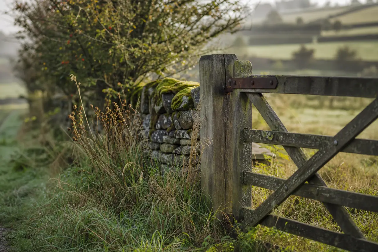 Field boundary in Newport