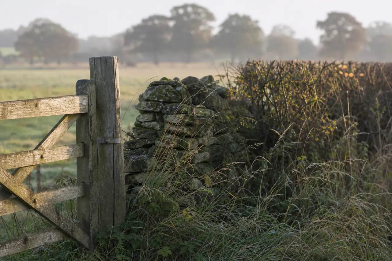 Field boundary in Norfolk