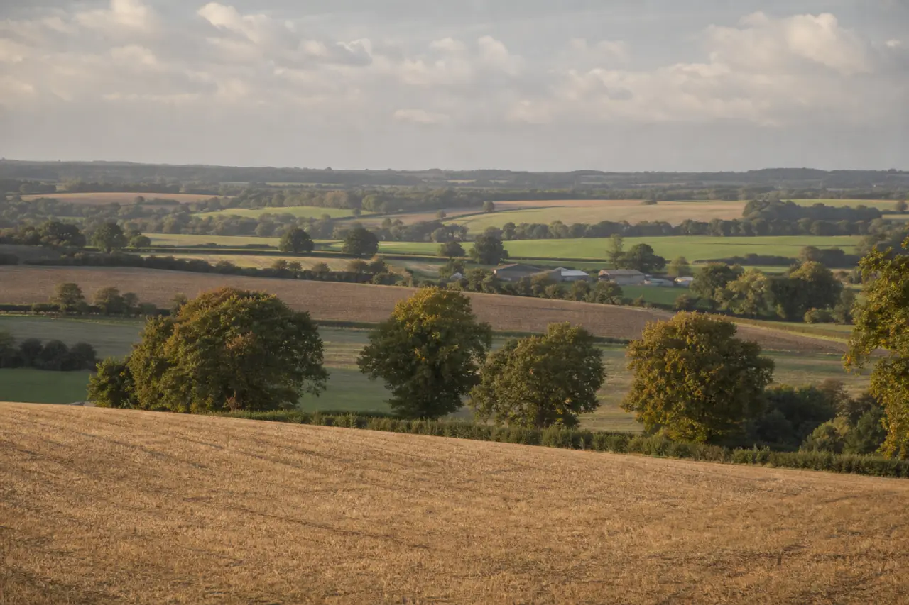 Norfolk countryside
