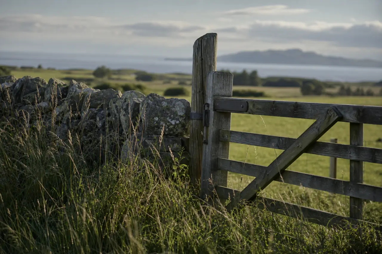 Field boundary in North Ayrshire