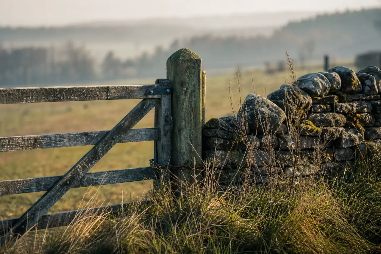 Field boundary in North Lanarkshire