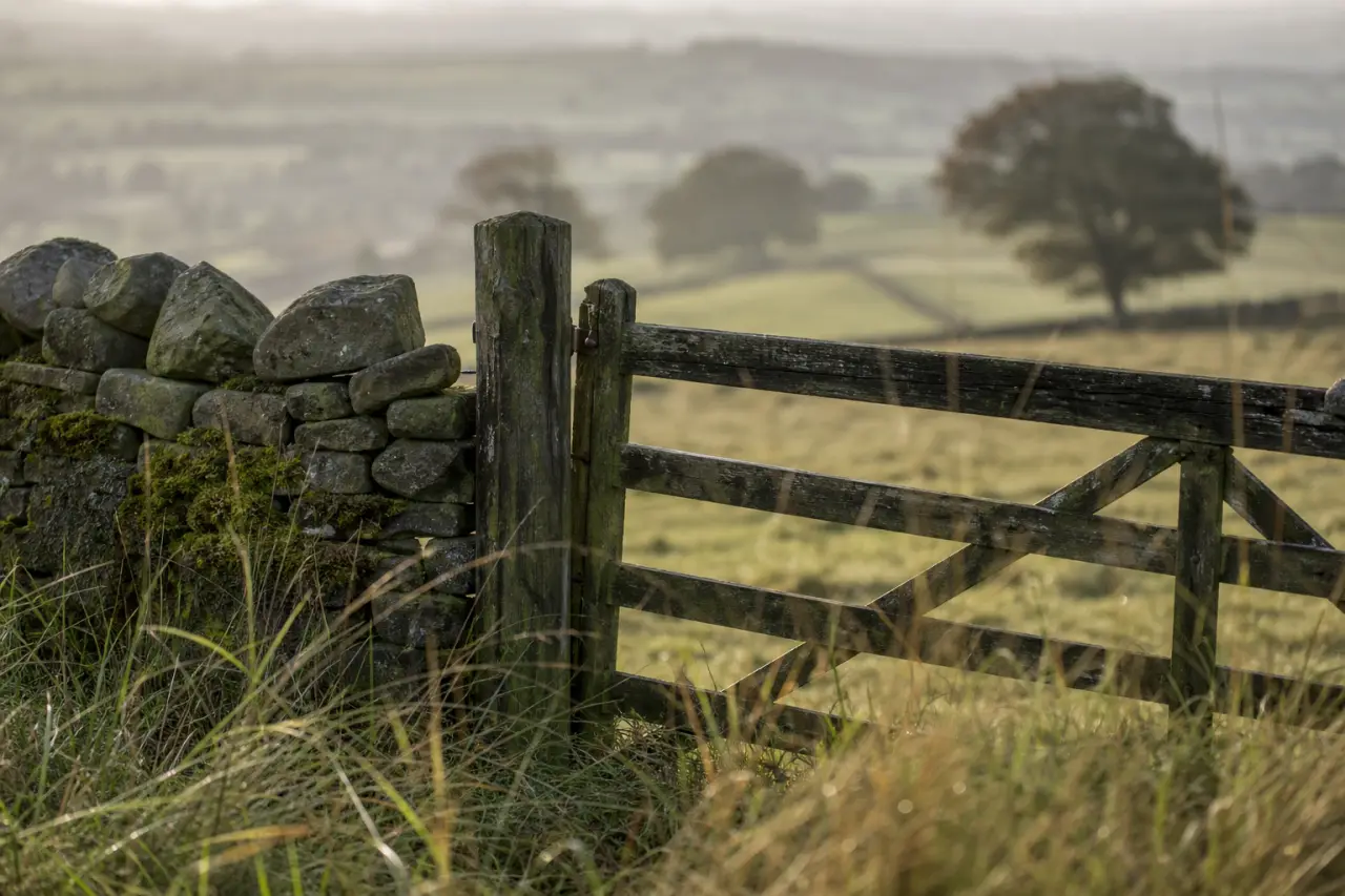 Field boundary in North Yorkshire
