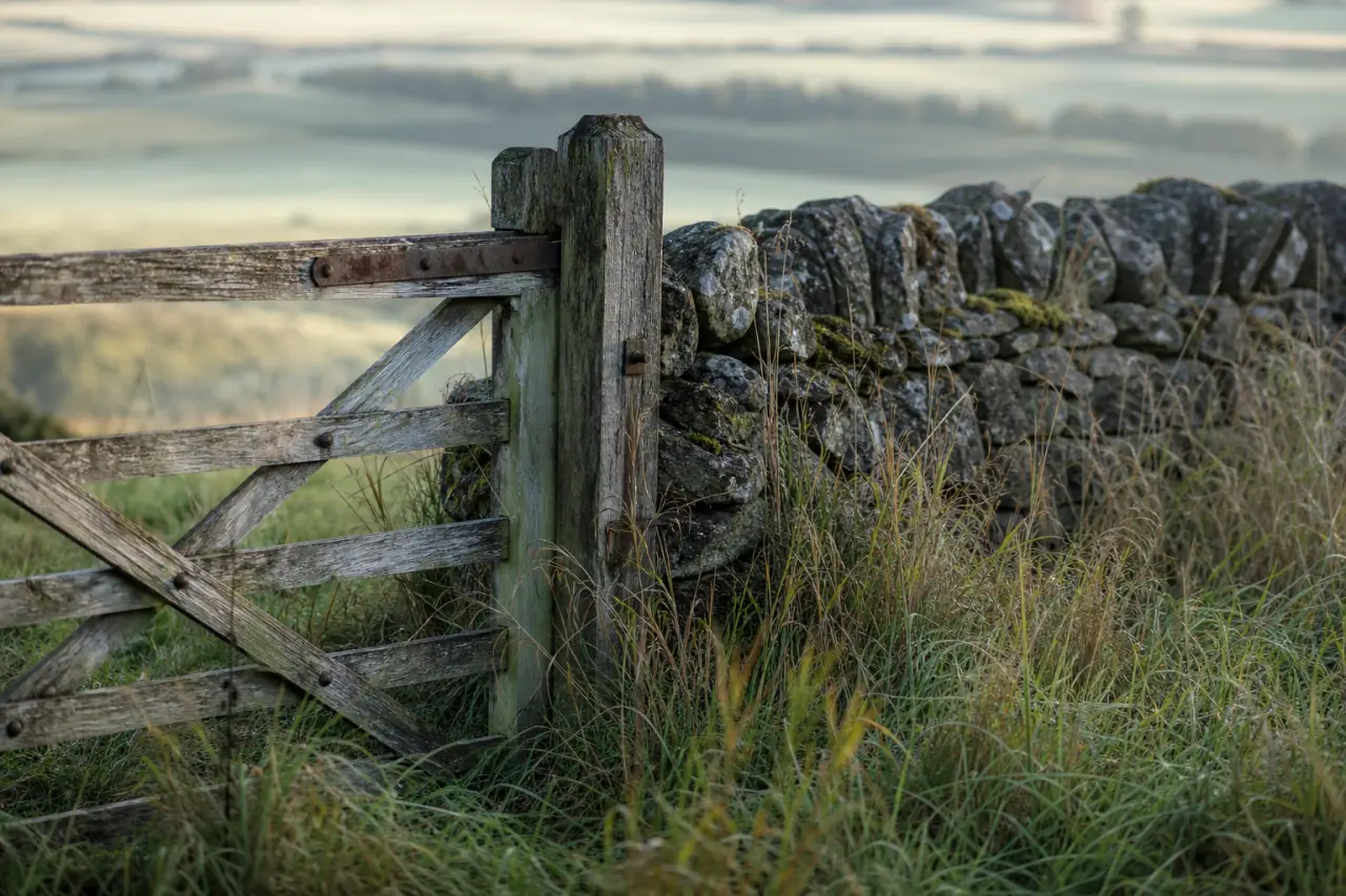 Field boundary in Northumberland