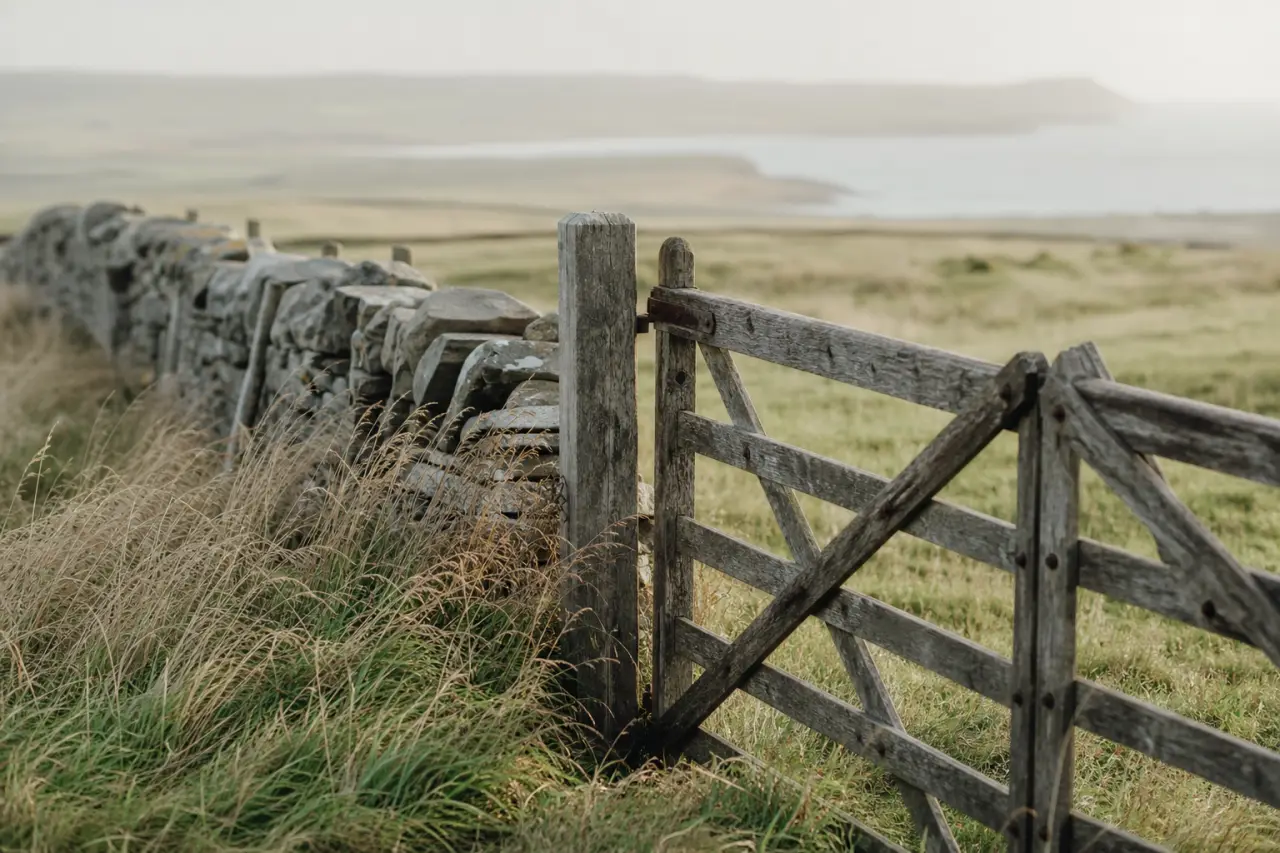 Field boundary in Orkney Islands