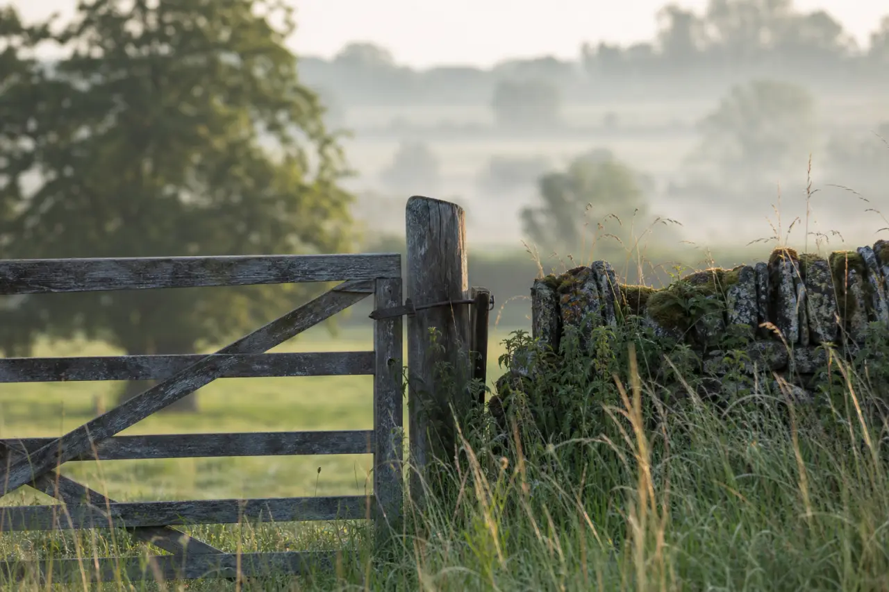 Field boundary in Oxfordshire