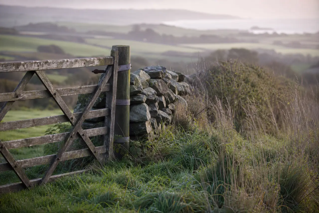 Field boundary in Pembrokeshire