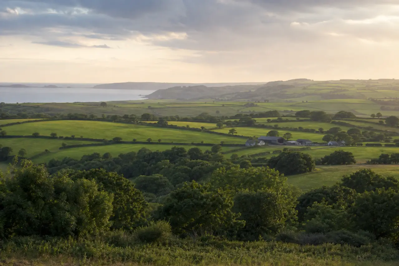 Pembrokeshire countryside