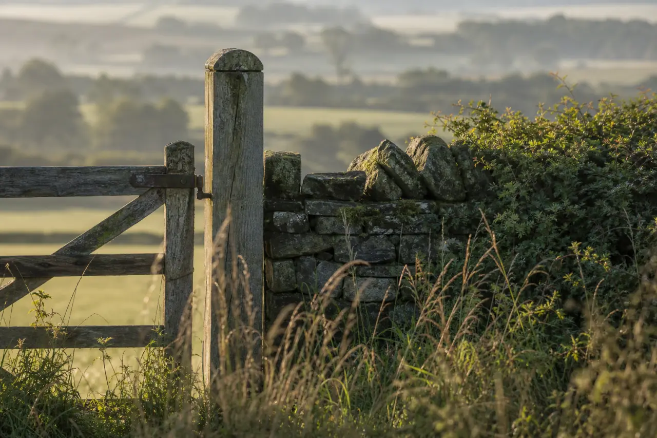 Field boundary in Renfrewshire