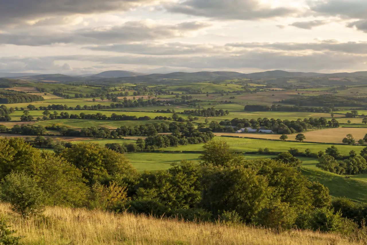 Renfrewshire countryside